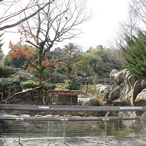 Red panda viewing area, February 2016