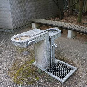 Drinking fountain, February 2016