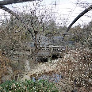 Walkthrough aviary, February 2016