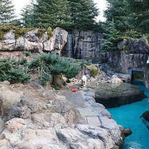 Polar bear enclosure, February 2016
