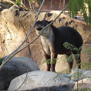 Smile for the Camera!