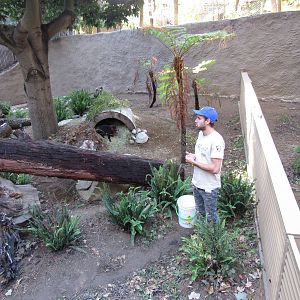 Keeper from Tasmanian and Devils