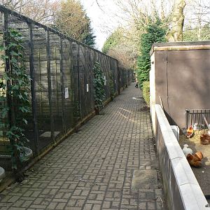 View of Aviaries - 16 February 2016, Kirkleatham Owl Centre
