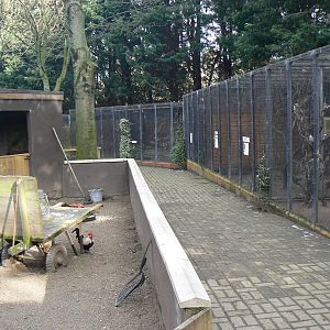 View of Aviaries - 16 February 2016, Kirkleatham Owl Centre