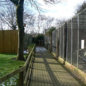 View of Aviaries - 16 February 2016, Kirkleatham Owl Centre