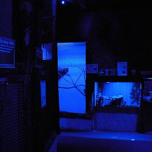 View of Part of the Nocturnal Area/ Bat Cave - 16 February 2016, Wild Anima