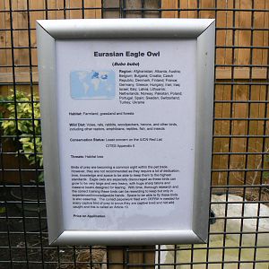 View of Signage - 16 February 2016, Wild Animal Adventures