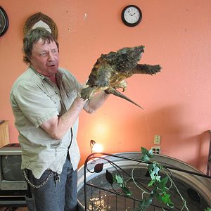 Northwest Arkansas Reptile Museum (owner with snapping turtle)
