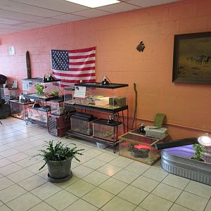 Northwest Arkansas Reptile Museum