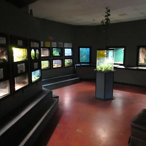 National Park Aquarium (Arkansas)