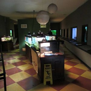 National Park Aquarium (Arkansas)