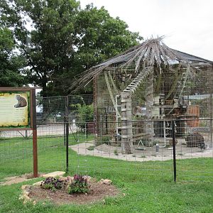 Turpentine Creek Wildlife Refuge (Arkansas) - Rhesus Macaque Exhibit