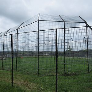 Turpentine Creek Wildlife Refuge (Arkansas) - African Lion Exhibit