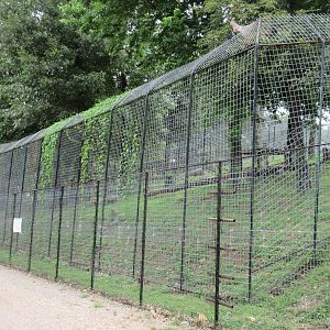 Turpentine Creek Wildlife Refuge (Arkansas) - Bengal Tiger Exhibit
