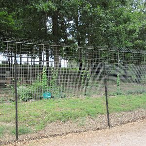 Turpentine Creek Wildlife Refuge (Arkansas) - Bengal Tiger Exhibit