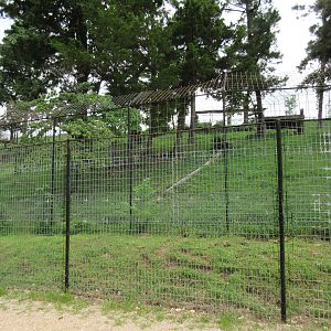Turpentine Creek Wildlife Refuge (Arkansas) - Bengal Tiger Exhibit
