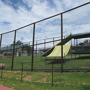 Turpentine Creek Wildlife Refuge (Arkansas) - Grizzly Bear Exhibit