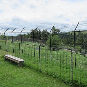 Turpentine Creek Wildlife Refuge (Arkansas) - Bengal Tiger Exhibit