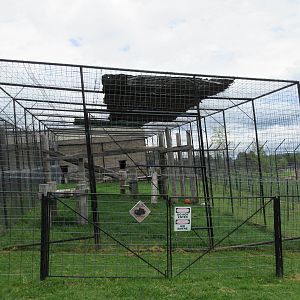 Turpentine Creek Wildlife Refuge (Arkansas) - Black Leopard Exhibit #1