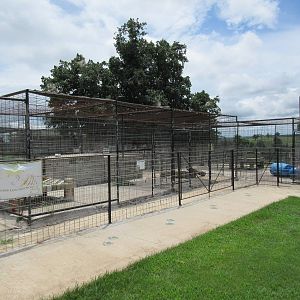 Turpentine Creek Wildlife Refuge (Arkansas) - Empty Cages (soon to be demol