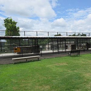 Turpentine Creek Wildlife Refuge (Arkansas) - Empty Cages (soon to be demol