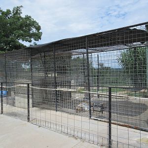 Turpentine Creek Wildlife Refuge (Arkansas) - Bengal Tiger Exhibit (soon to
