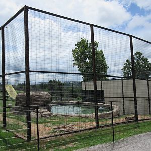 Turpentine Creek Wildlife Refuge (Arkansas) - Grizzly Bear Exhibit