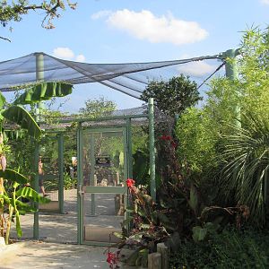 Aquatica San Antonio - Roa's Aviary Entrance (13,500 sq. ft. and opened in