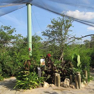 Aquatica San Antonio - Roa's Aviary (13,500 sq. ft. and opened in 2014)