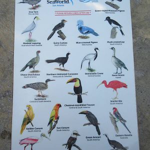 Aquatica San Antonio - Roa's Aviary (13,500 sq. ft. and opened in 2014)