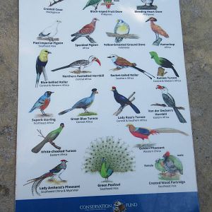 Aquatica San Antonio - Roa's Aviary (13,500 sq. ft. and opened in 2014)