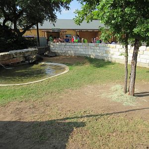 Aquatica San Antonio - Aldabra Tortoise Exhibit