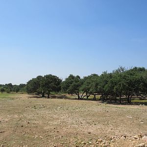 Exotic Resort Zoo (Texas) - Tractor Tour
