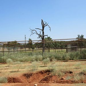 Exotic Resort Zoo (Texas) - Empty Exhibit