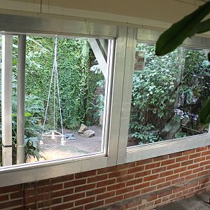 Enclosure Horsfield's tortoise