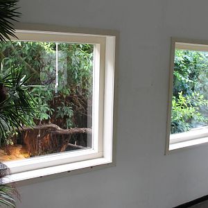 Enclosure American alligator