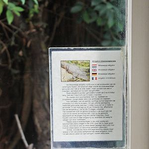 Sign American alligator