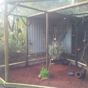 Caversham Wildlife Park WA