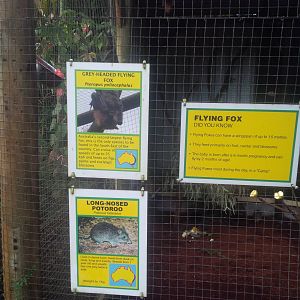 Caversham Wildlife Park WA