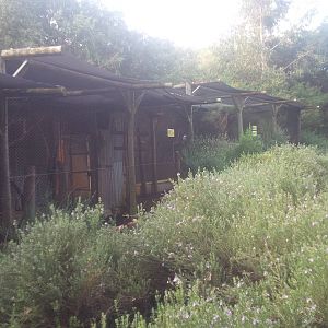 Caversham Wildlife Park WA