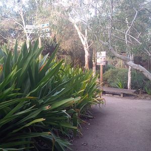 Caversham Wildlife Park WA