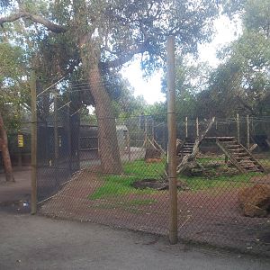 Caversham Wildlife Park WA