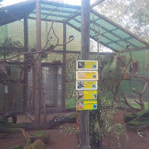 Caversham Wildlife Park WA