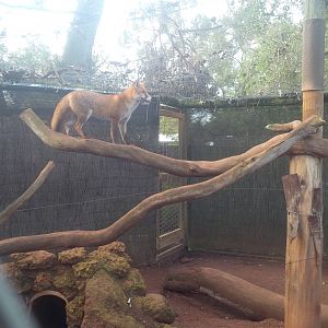 Caversham Wildlife Park WA