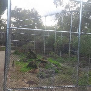 Caversham Wildlife Park WA