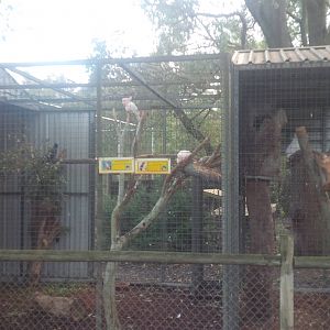 Caversham Wildlife Park WA