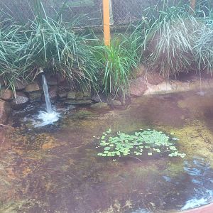 Caversham Wildlife Park WA