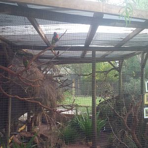 Caversham Wildlife Park WA