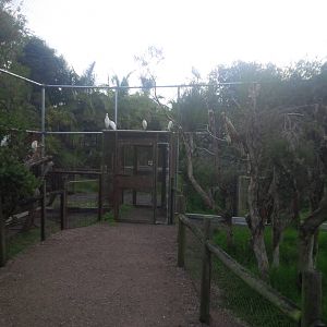 Caversham Wildlife Park WA