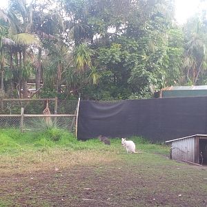 Caversham Wildlife Park WA